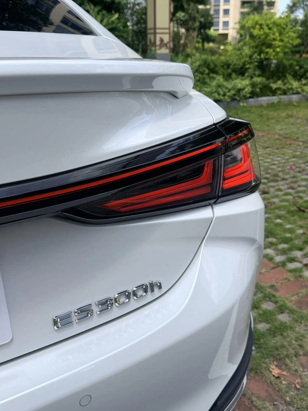 Lexus ES (Imported) 2025 ES300h 2.5 Stepless Premium Edition Automatic Gear 7