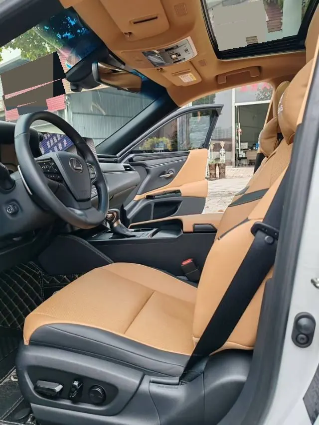 Lexus ES (Imported) 2023 ES200 2.0 Stepless Premium Edition Automatic Gear 5
