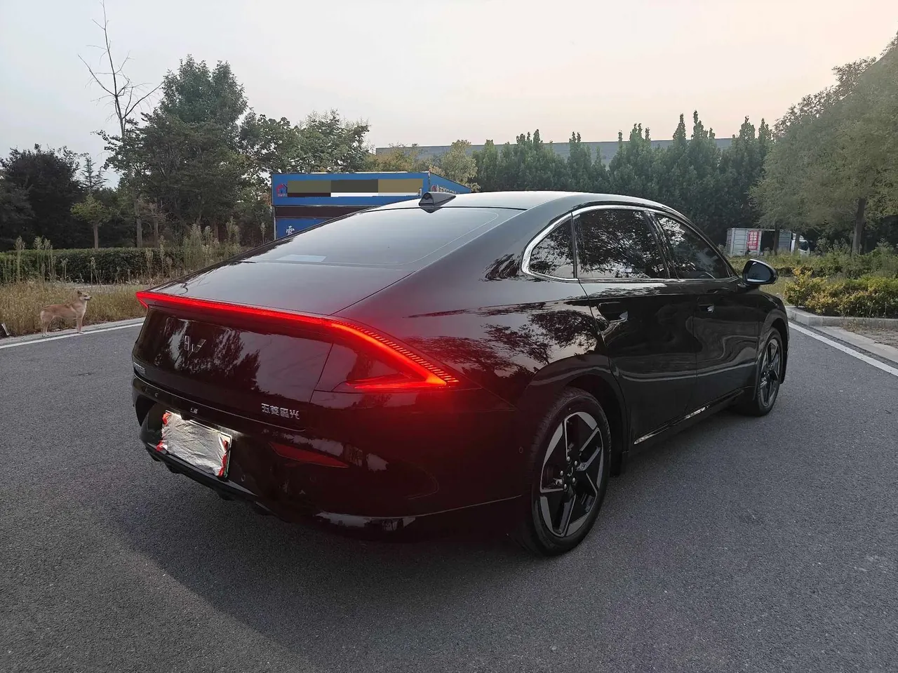 WuLing 2025 Starlight EV 610km Intelligent Flagship Automatic Gear 5
