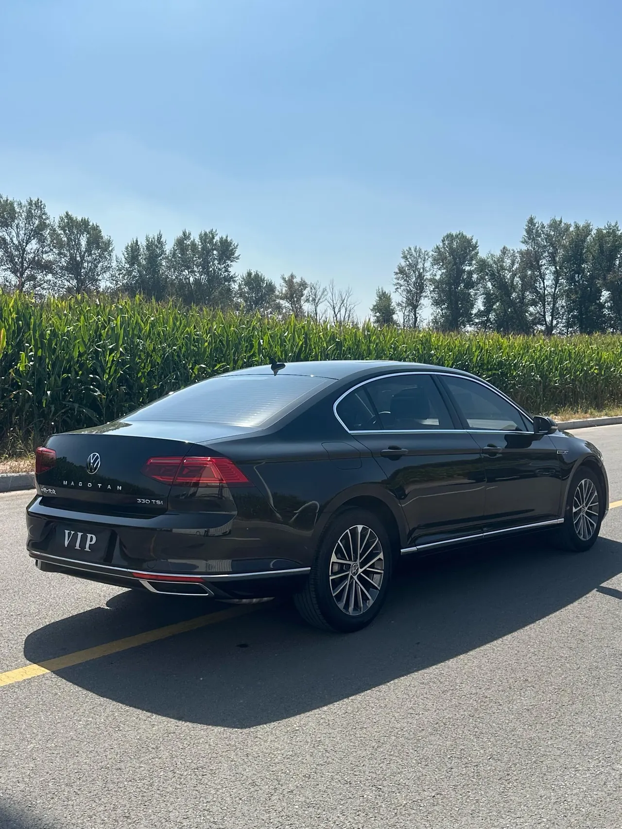 Volkswagen 2020 Magotan 2.0TSI 330TSI luxury automatic transmission 8