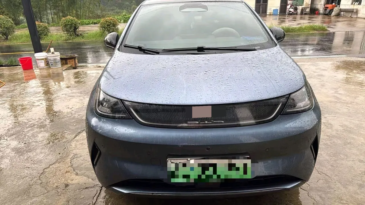 BYD 2025 Dolphin Smart Driving 410km Fashion Automatic Gear 2