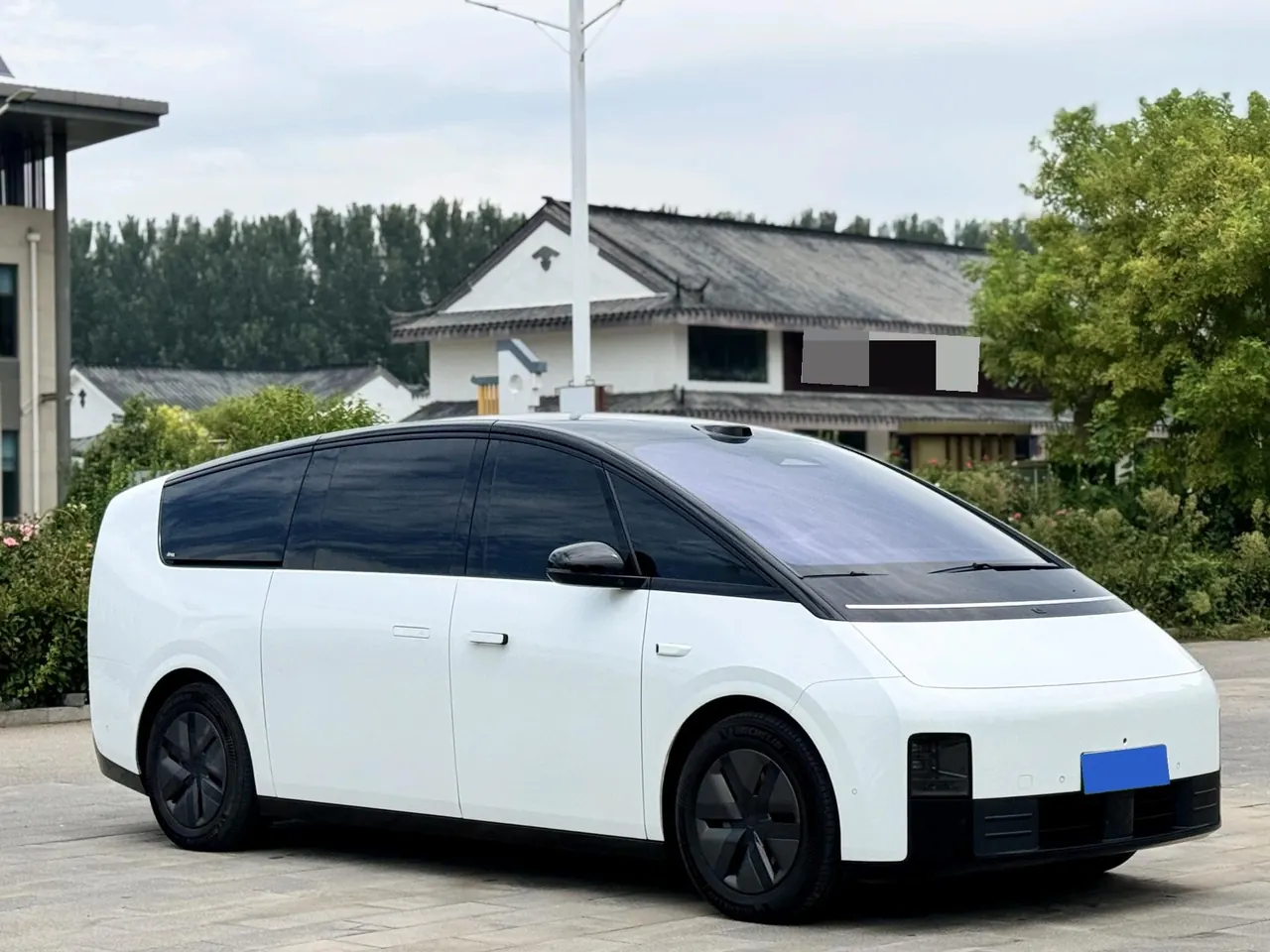 Li 2025 MEGA Home Family Special Edition Automatic 3