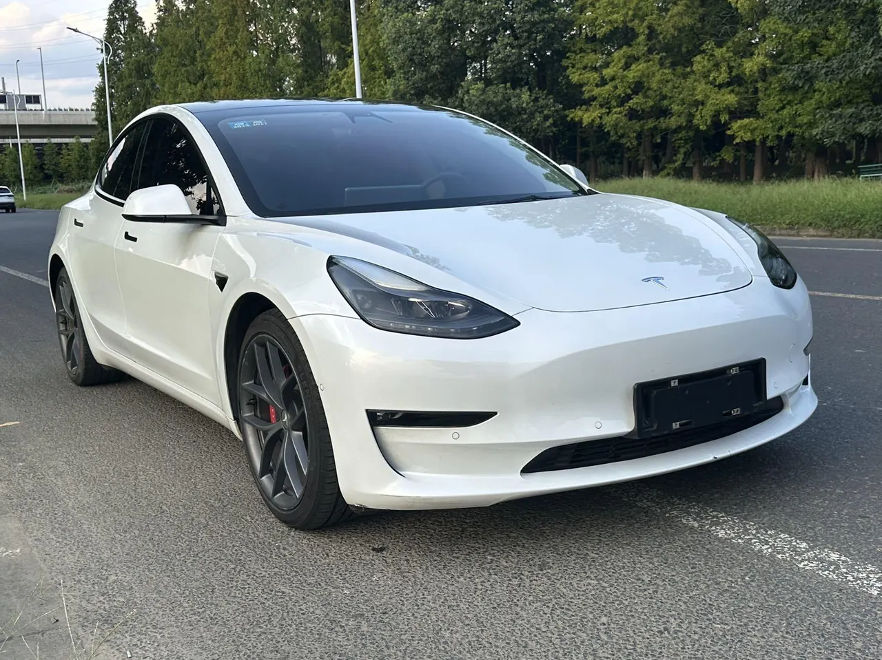 Tesla 2021 Model 3 Performance high-performance all-wheel drive version (facelift) automatic gear 3