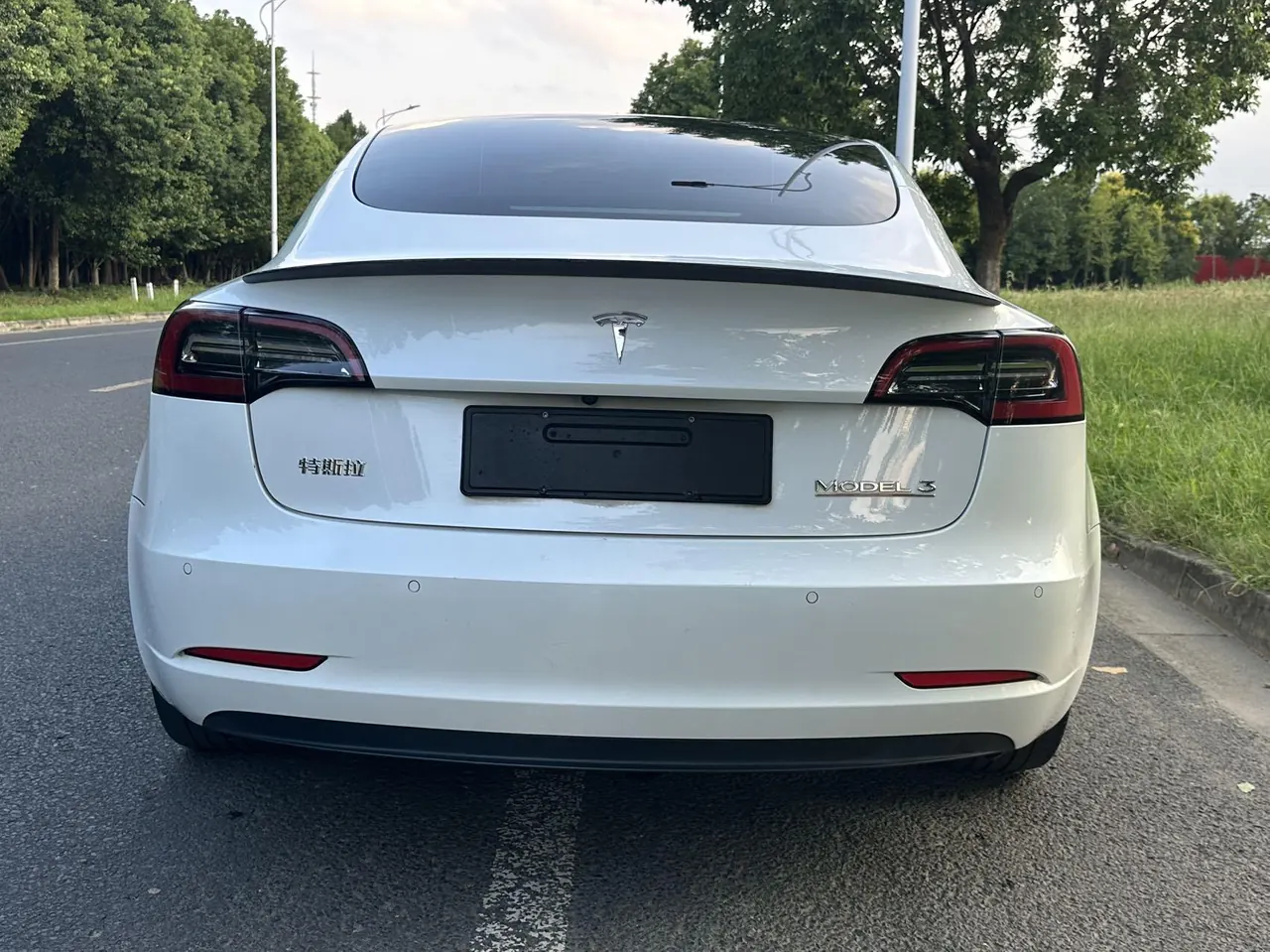 Tesla 2021 Model 3 Performance high-performance all-wheel drive version (facelift) automatic gear 8