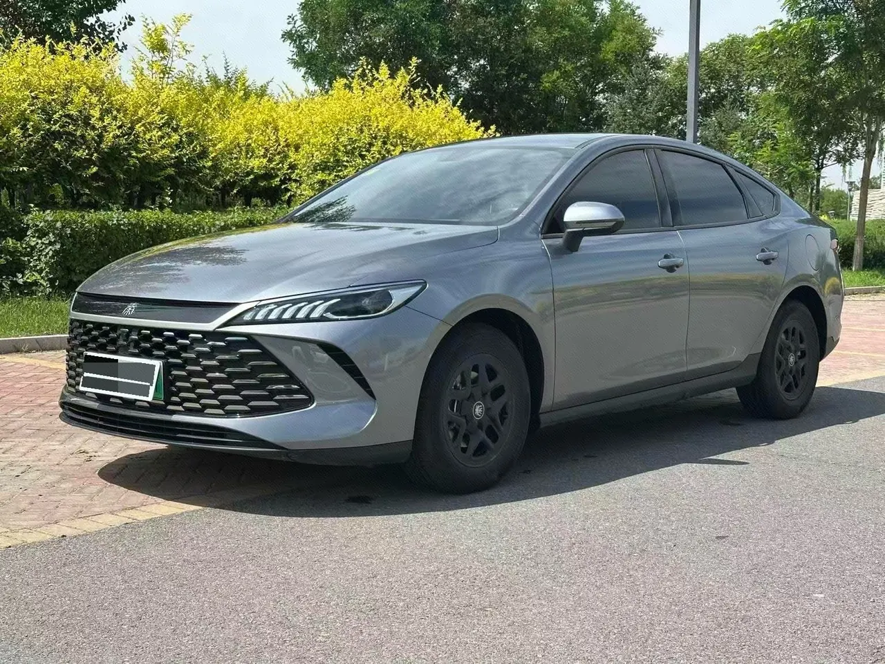 BYD 2025 Qin PLUS DM-i 1.5 stepless intelligent driving version 55KM leading automatic gear - View 1
