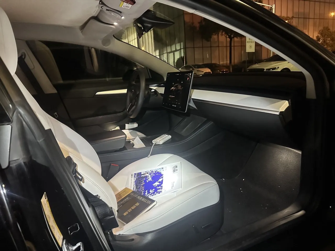 Tesla 2021 Model 3 Performance high-performance all-wheel drive version (facelift 2) automatic gear 4