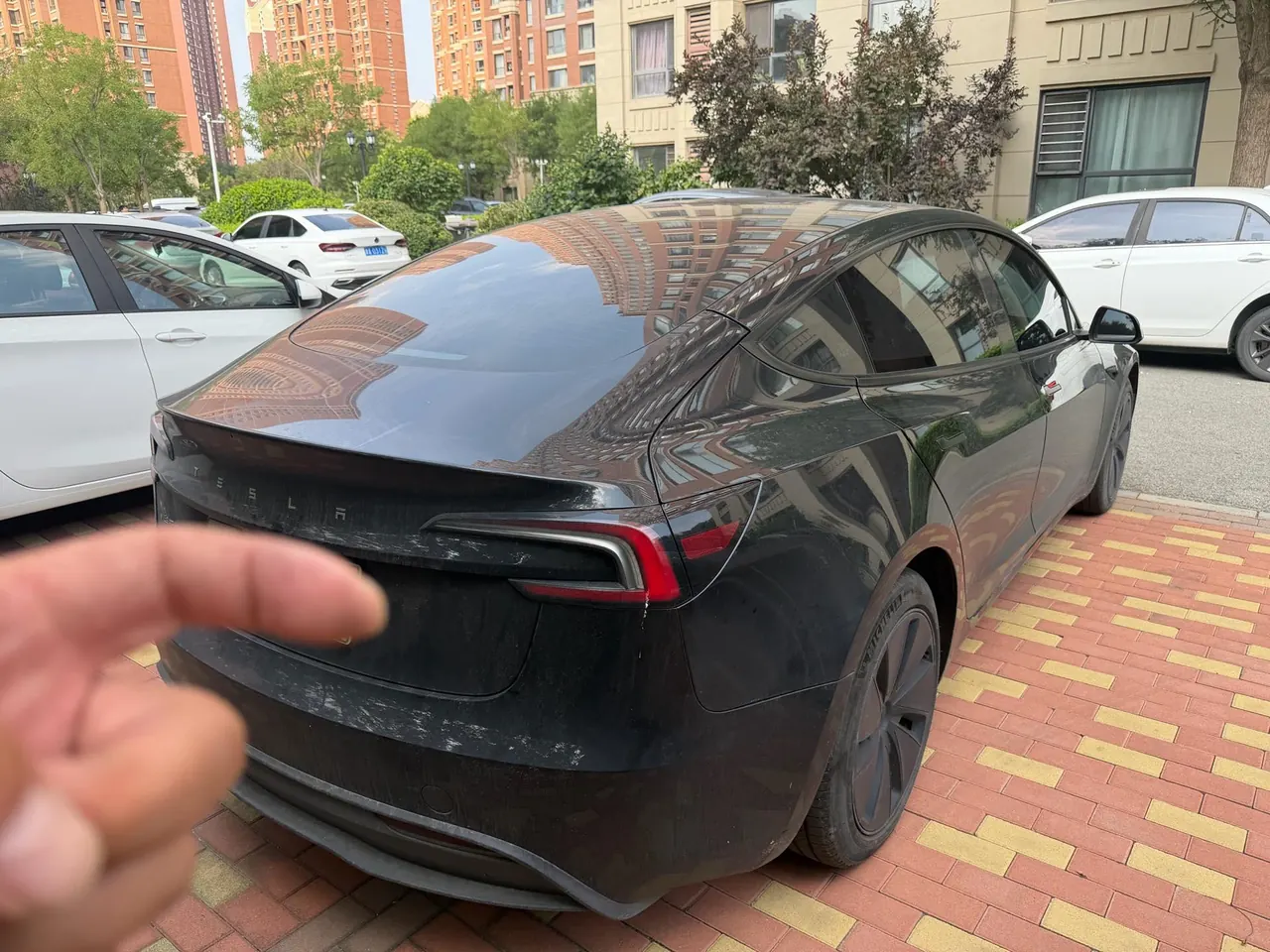 Tesla 2023 Model 3 Rejuvenation Edition Rear Wheel Drive Automatic Transmission 5