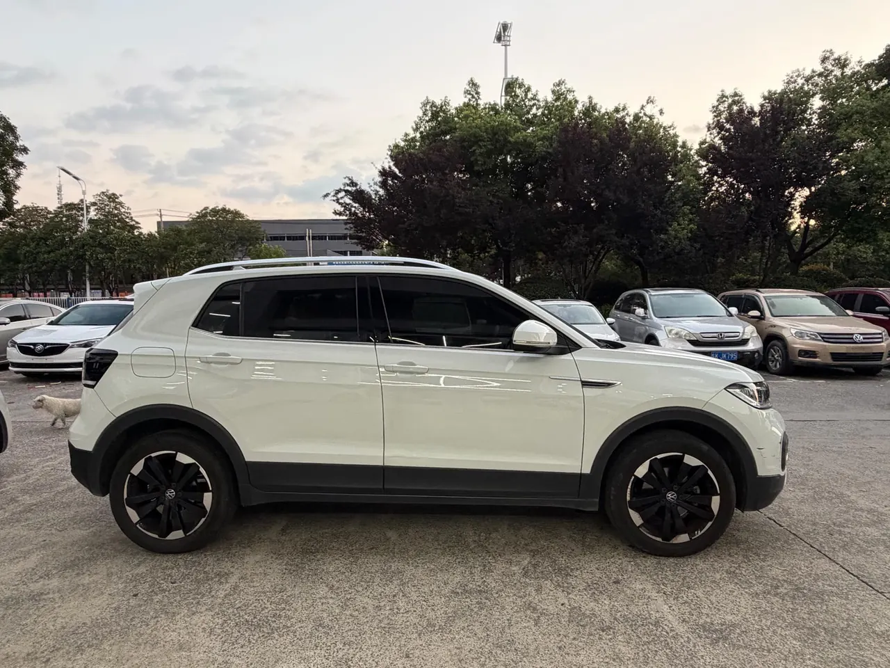 Volkswagen 2021 Shadow 1.5 30th Anniversary Edition Automatic Gear 3