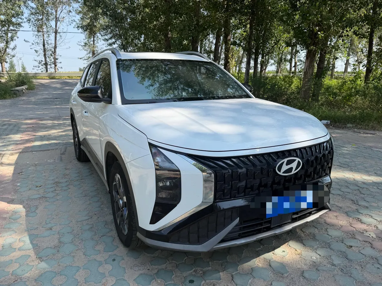 Hyundai 2023 MUFASA (Mu Sa) 2.0 DLX Deluxe Edition Automatic Gear 2
