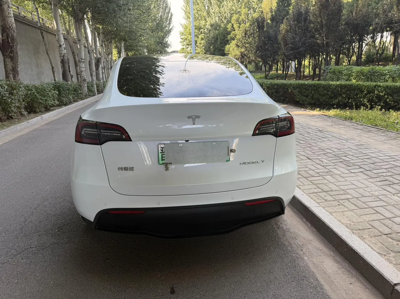 Tesla 2022 Model Y rear-wheel drive version (facelift) automatic gear 3