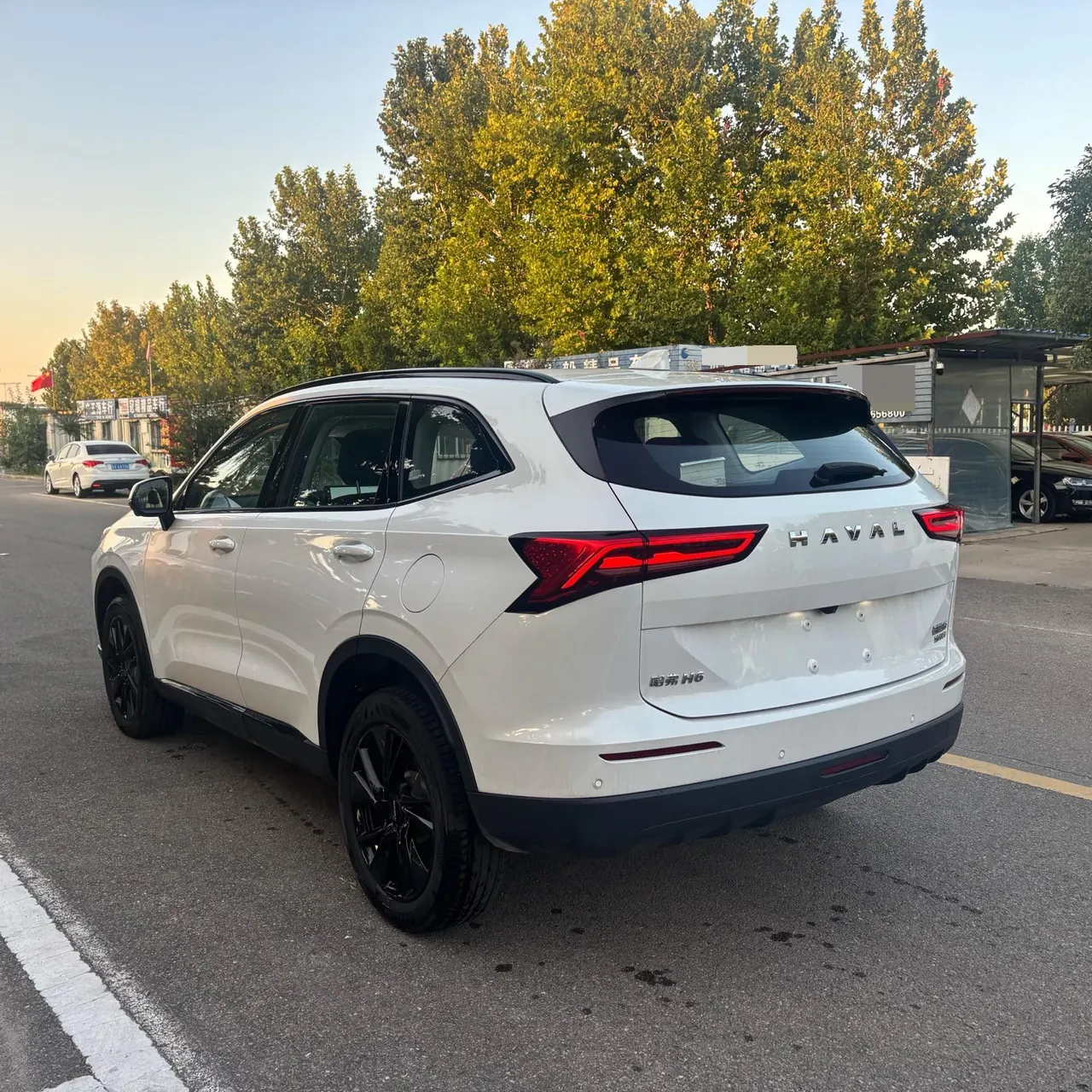 Haval 2024 H6 2.0T Two-Drive Max Automatic Gear 6