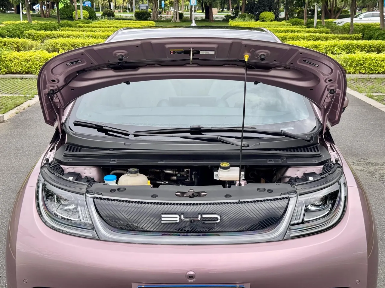 BYD 2023 Dolphin 420km Fashion Edition Automatic 16