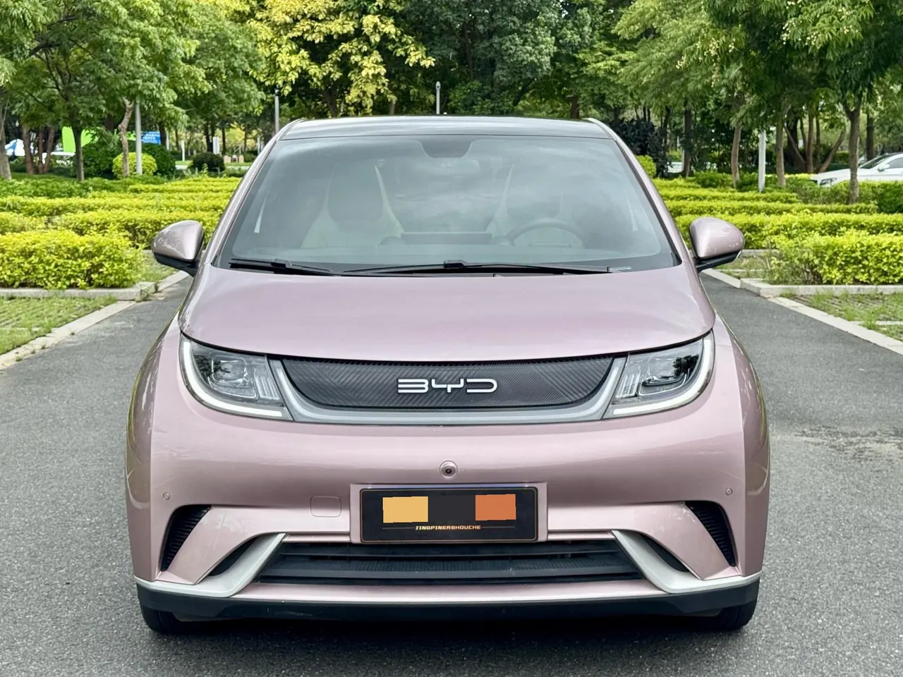 BYD 2023 Dolphin 420km Fashion Edition Automatic 2