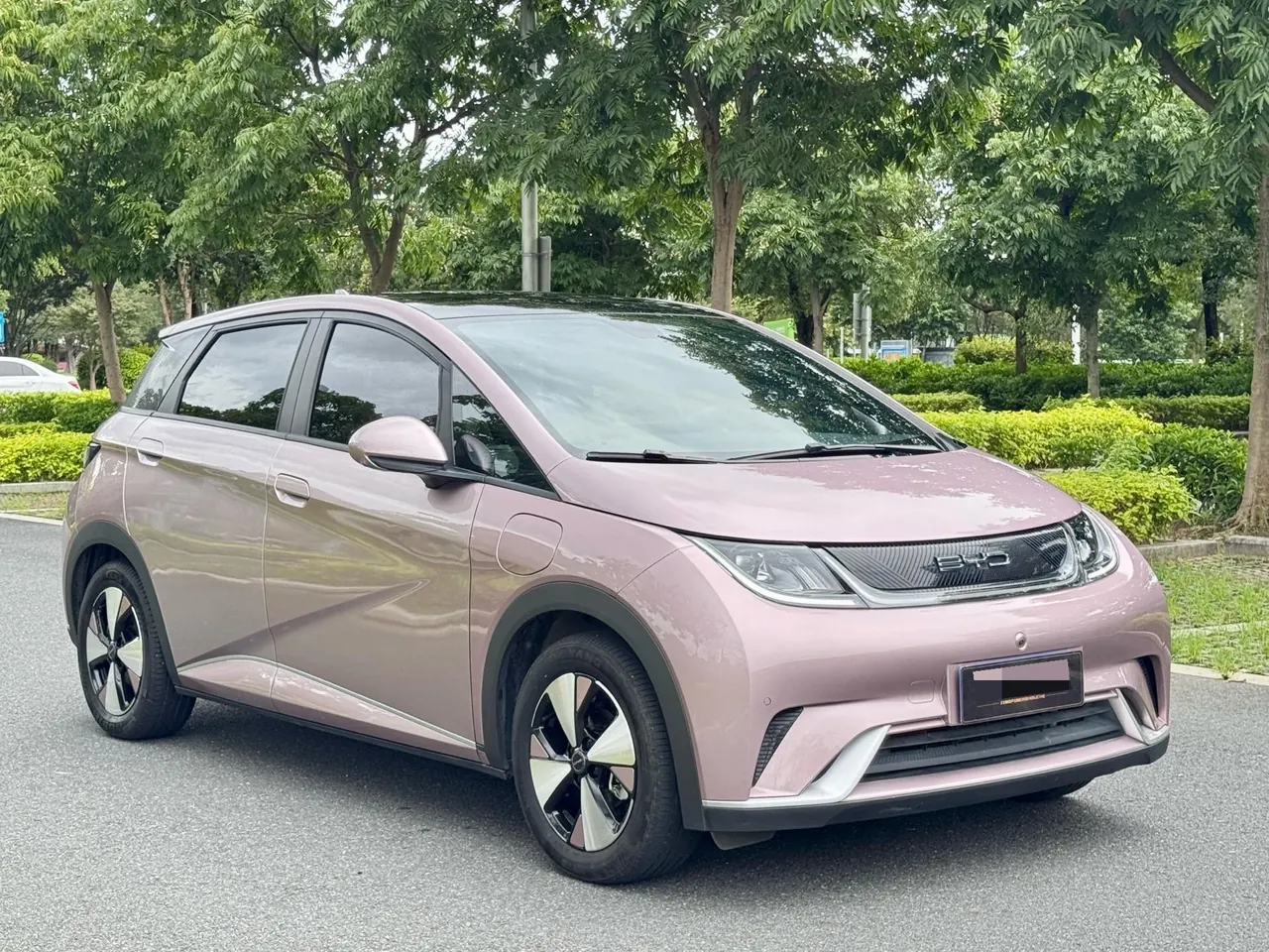 BYD 2023 Dolphin 420km Fashion Edition Automatic 3