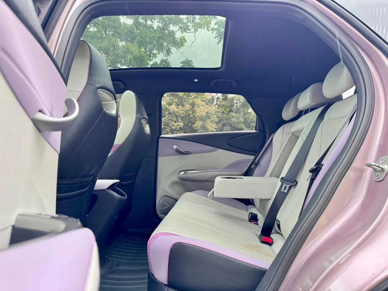 BYD 2023 Dolphin 420km Fashion Edition Automatic 8