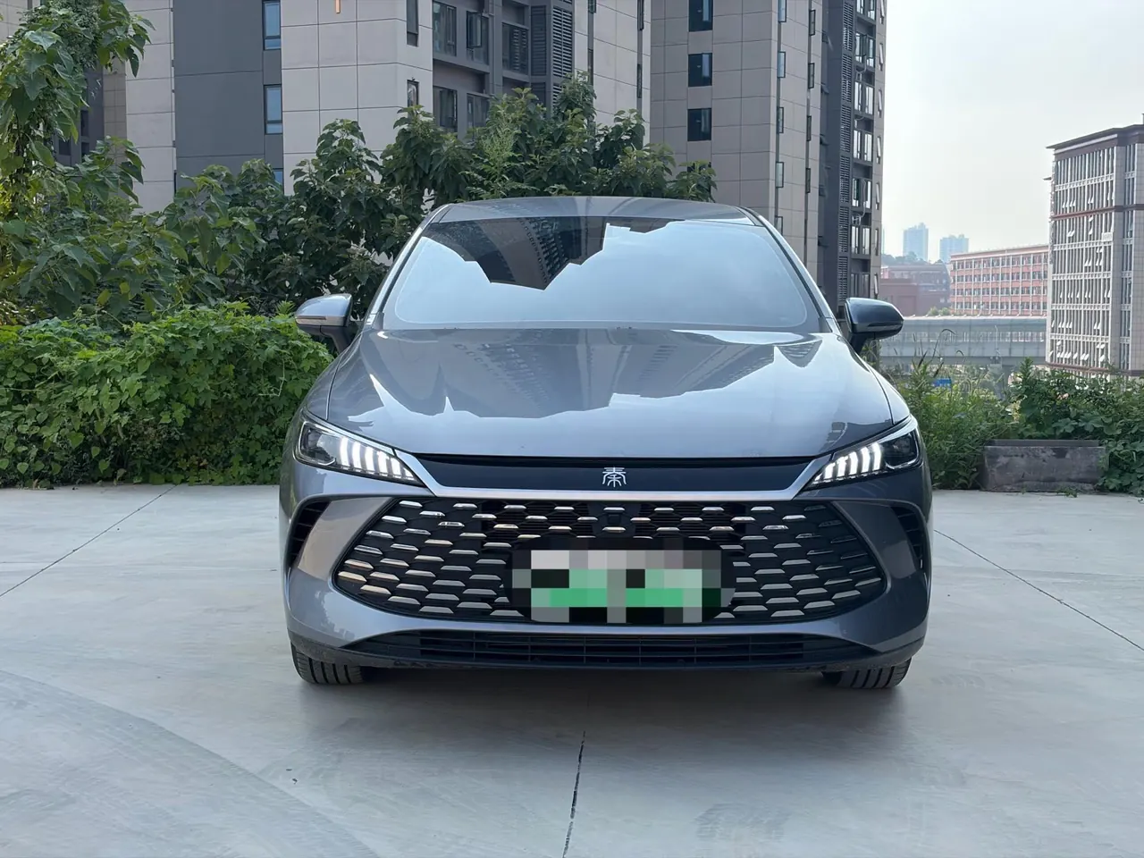 BYD 2026 Qin PLUS DM-i 1.5 CVT 128km Entry-Level Automatic 2