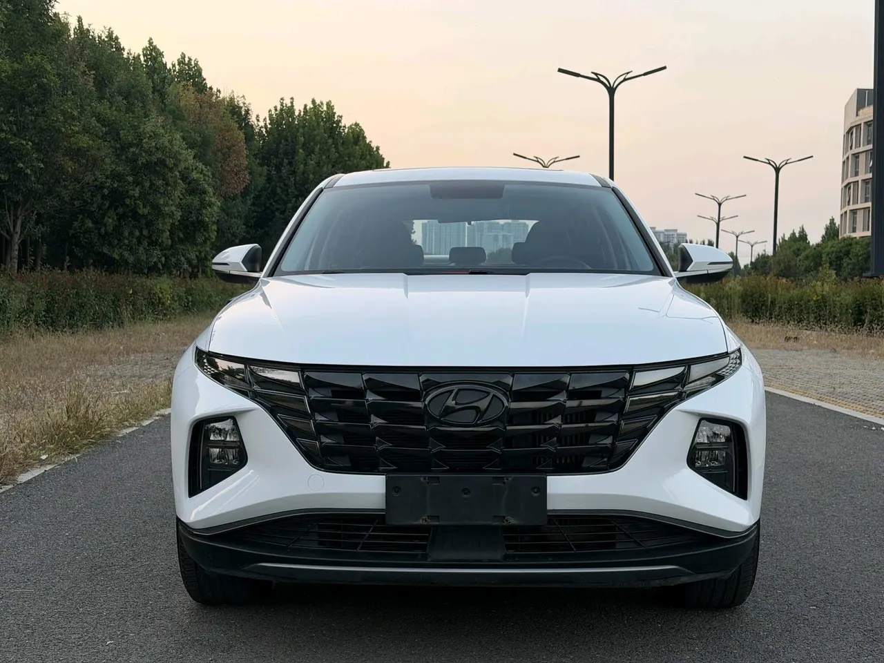 Hyundai 2021 Tousheng L 1.5T GLX Elite Automatic Gear 2