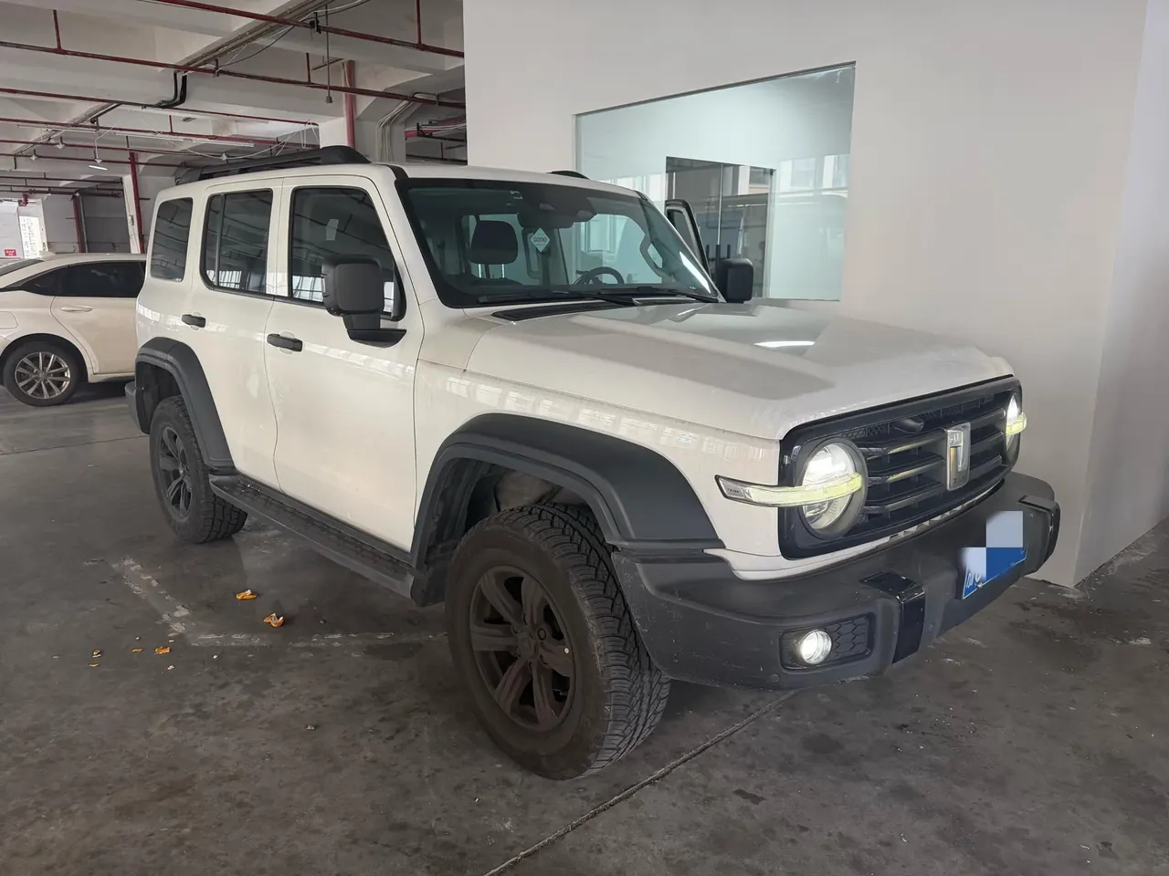 Tank 2021 Tank 300 2.0T Off-road Conqueror Automatic 2