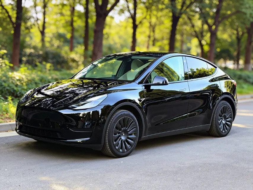 Tesla 2022 Model Y rear-wheel drive version (facelift) automatic gear - View 1