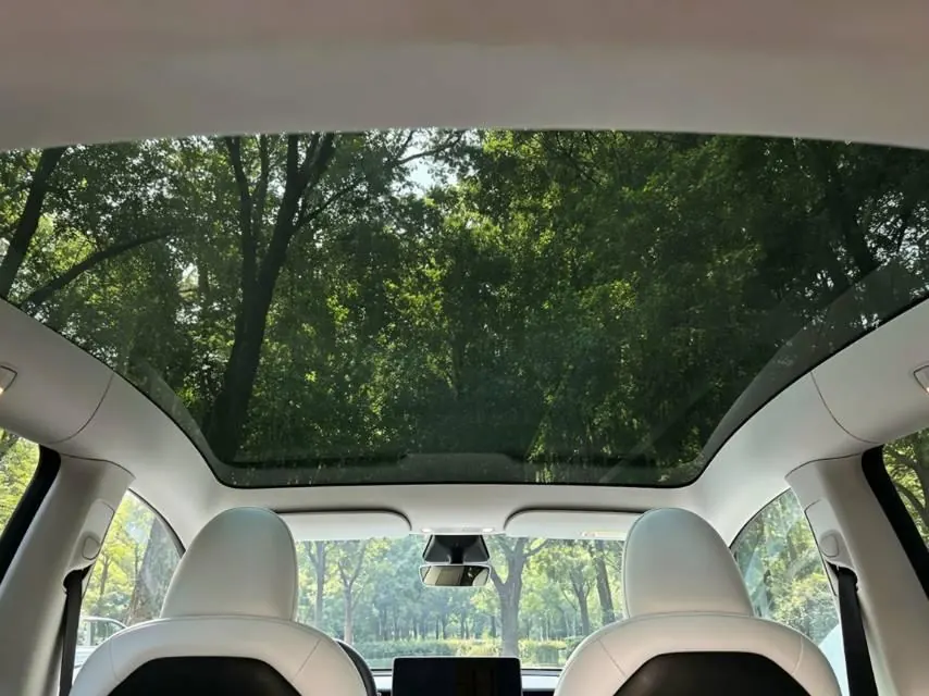 Tesla 2022 Model Y rear-wheel drive version (facelift) automatic gear 18