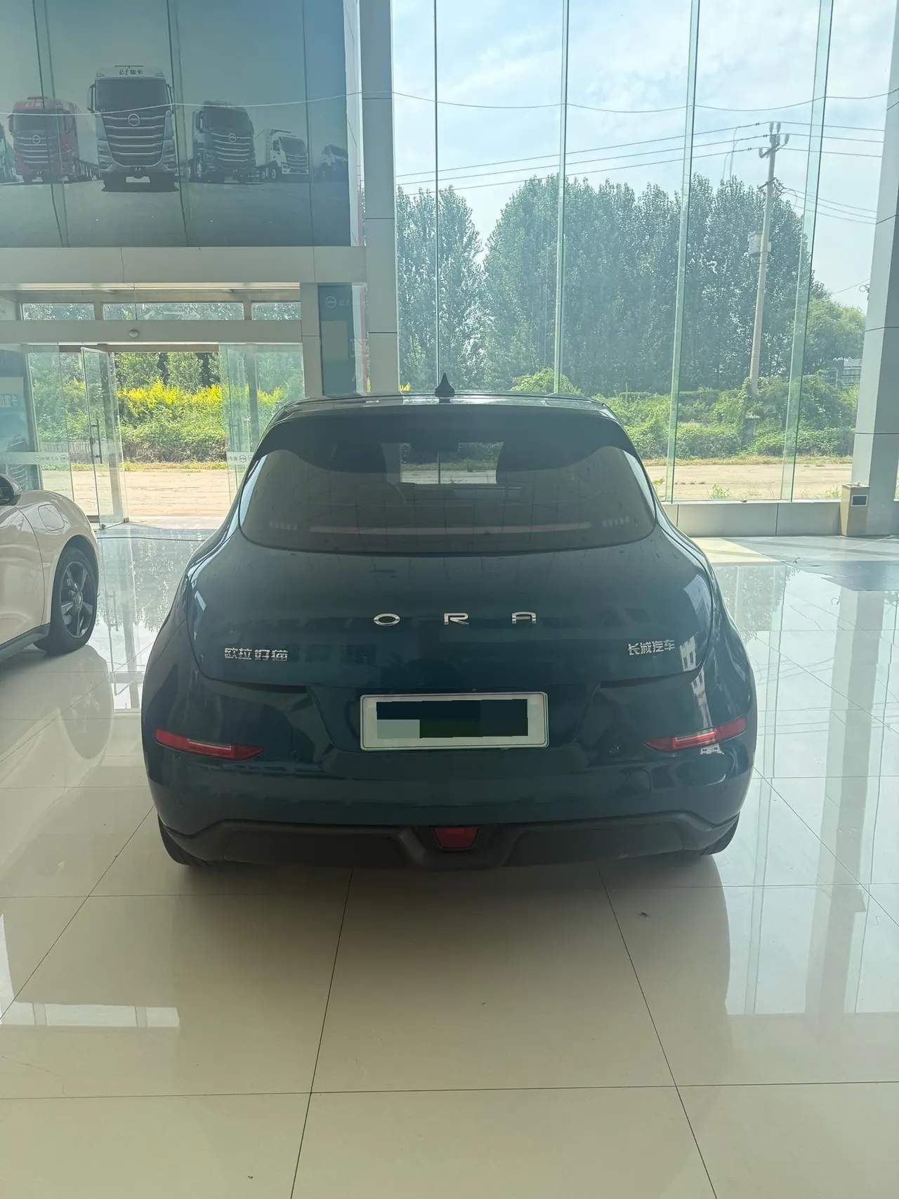 Ora 2021 Good Cats 400km Standard Endurance Athena Edition Automatic Gear 7