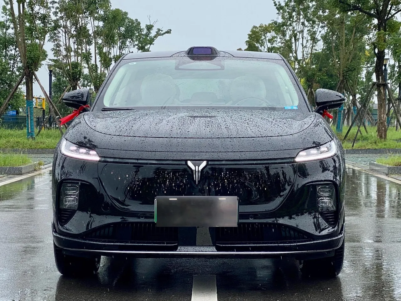 Voyah 2025 bosom friend four-wheel drive dry Kun version automatic gear 2