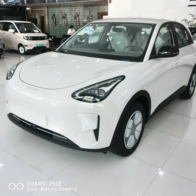 Geely 2026 Star Wish 310km Youth Edition Automatic Gear - View 1