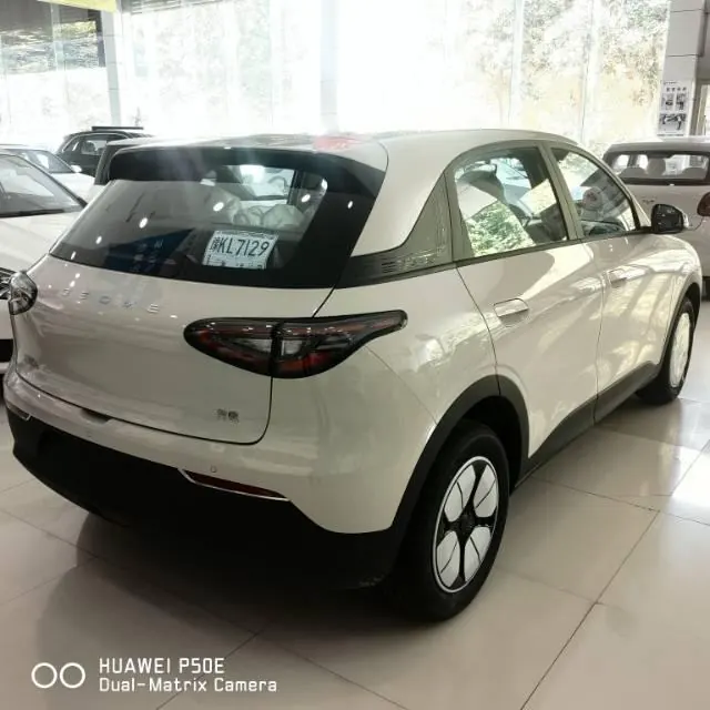 Geely 2026 Star Wish 310km Youth Edition Automatic Gear 4