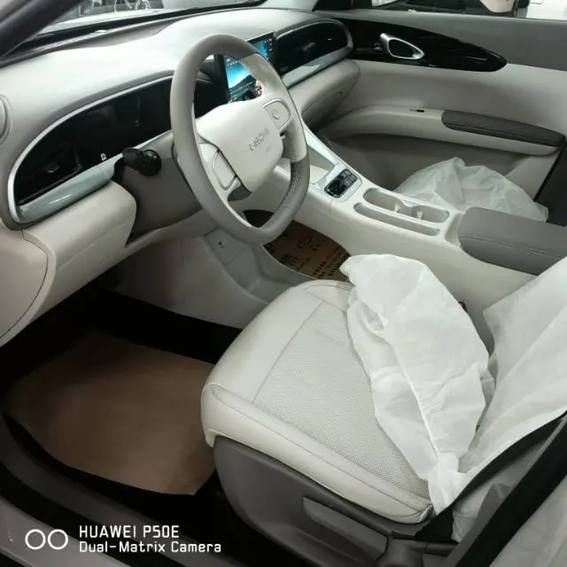 Geely 2026 Star Wish 310km Youth Edition Automatic Gear 5