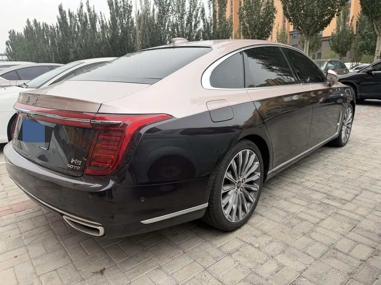 HongQi 2020 H9 3.0T Zhilian Flag Collar Four-seat Automatic Gear 5