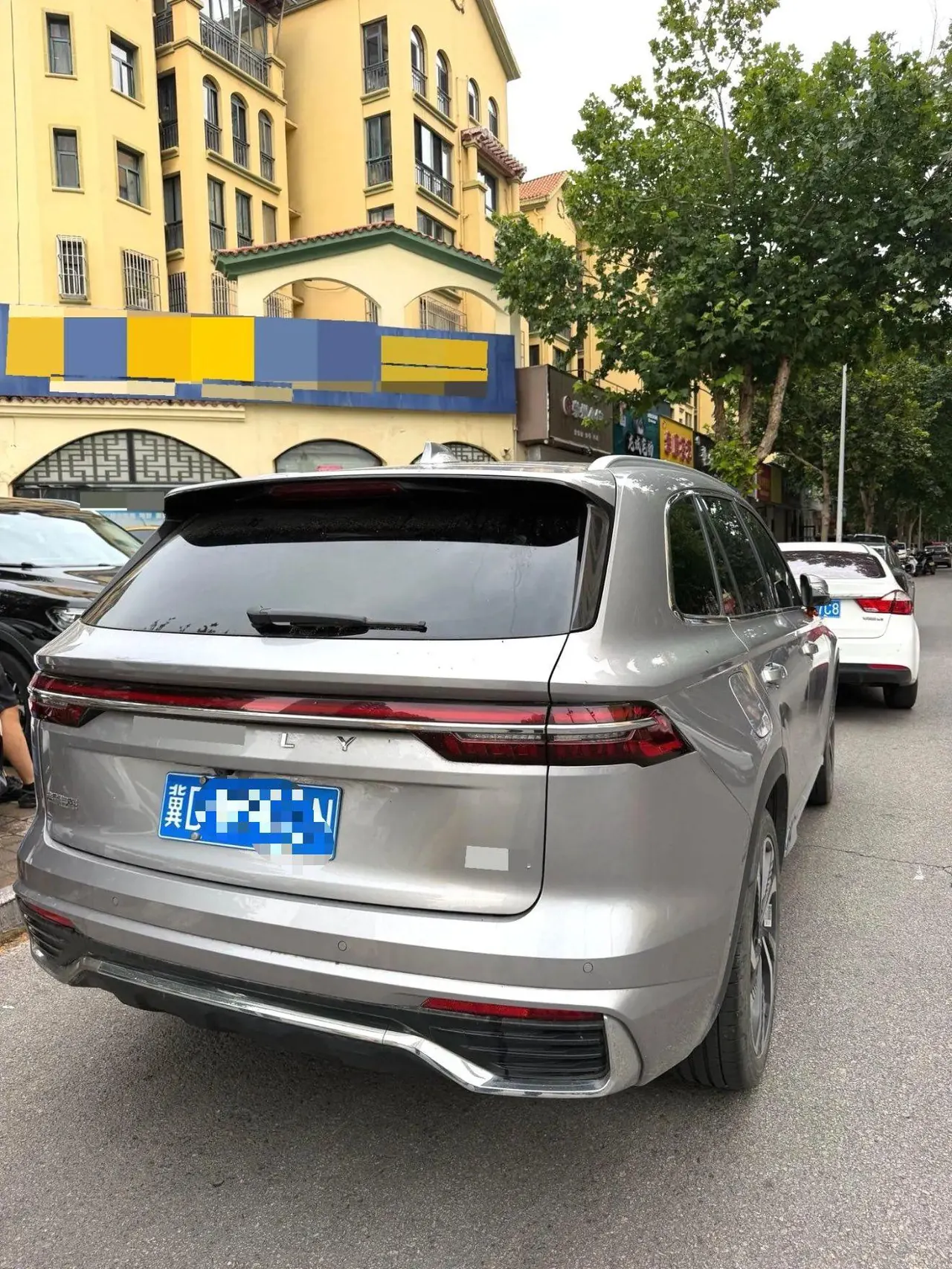 Geely 2021 XingyueL (Monjaro) 2.0TD EVO two-wheel drive smart automatic gear 7