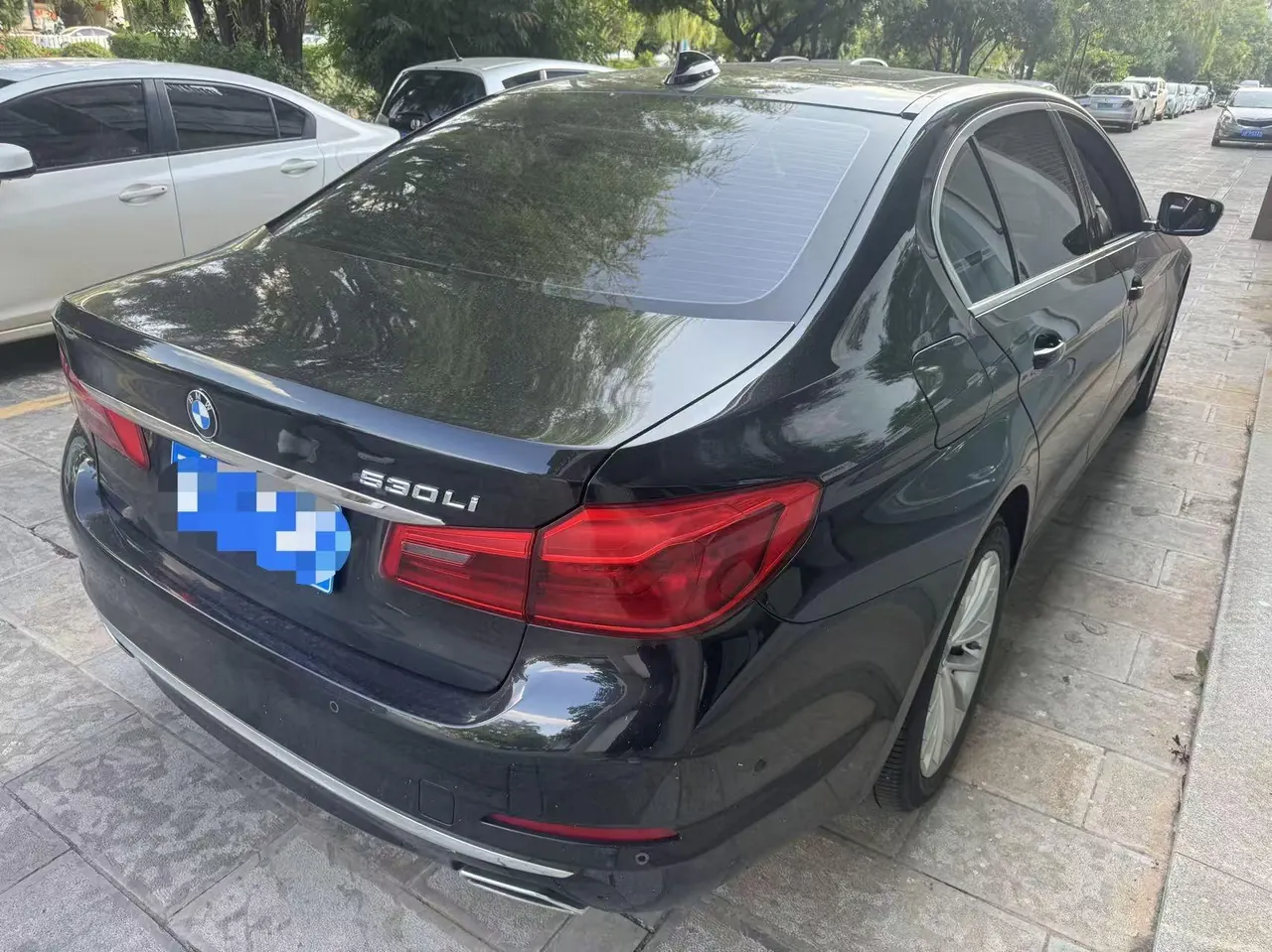 BMW 5 Series 2020 530Li 2.0T Leading Luxury Suit Automatic Gear 5