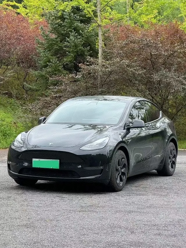 Tesla 2021 Model Y long endurance all-wheel drive version automatic transmission - View 1