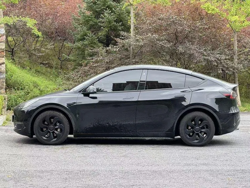 Tesla 2021 Model Y long endurance all-wheel drive version automatic transmission 2