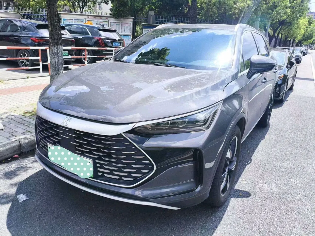BYD Tang New Energy 2025 Tang DM-i 1.5T Stepless 115KM Honorable Automatic Gear - View 1