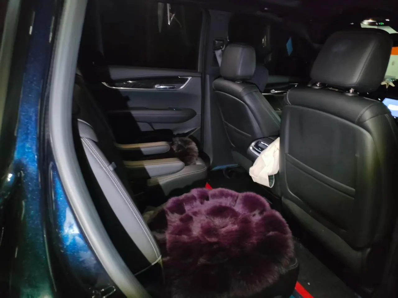 Cadillac 2022 XT6 48V 2.0T 6-seat two-wheel drive luxury automatic gear 6