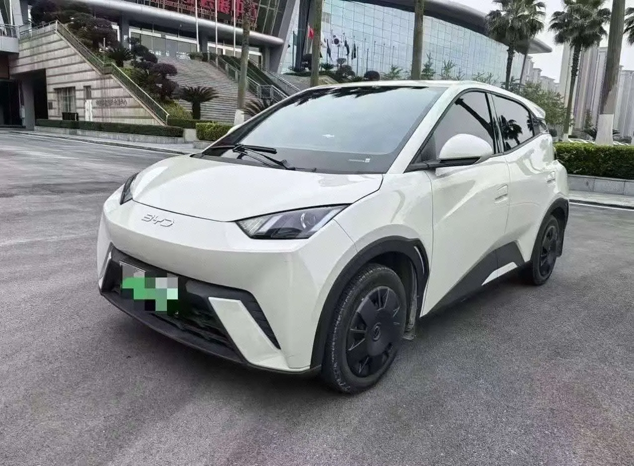 BYD 2025 Seagull Smart Driving Edition 305km Vital Edition Automatic Gear - View 1