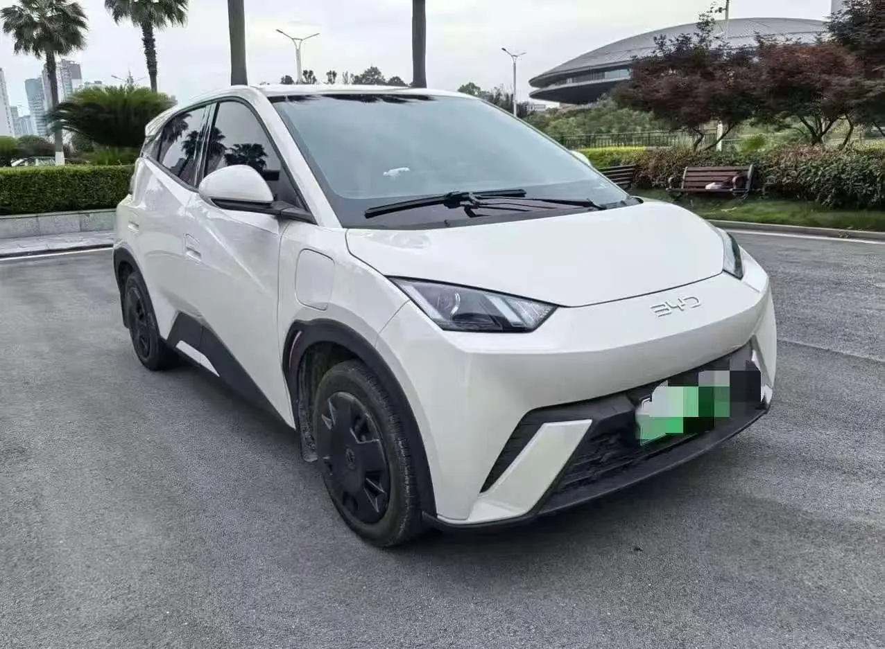 BYD 2025 Seagull Smart Driving Edition 305km Vital Edition Automatic Gear 2