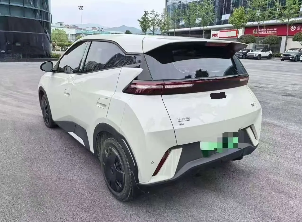 BYD 2025 Seagull Smart Driving Edition 305km Vital Edition Automatic Gear 3