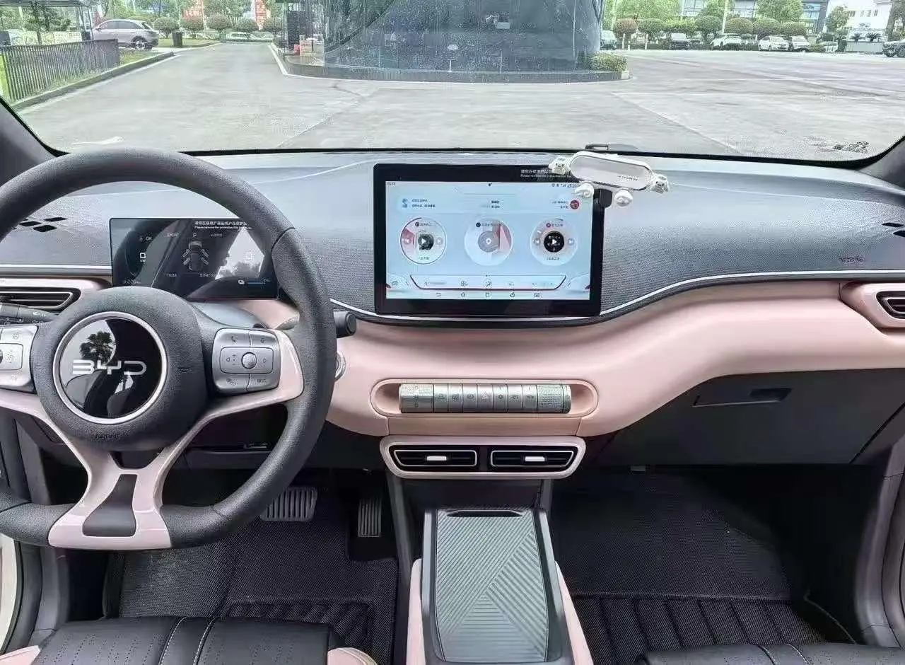 BYD 2025 Seagull Smart Driving Edition 305km Vital Edition Automatic Gear 5