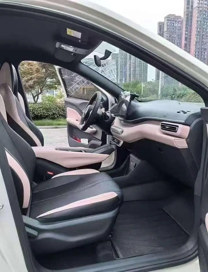 BYD 2025 Seagull Smart Driving Edition 305km Vital Edition Automatic Gear 6