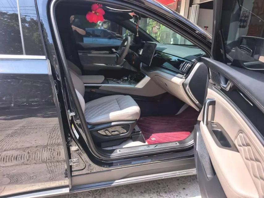 BYD Tang New Energy 2025 Tang DM-i 1.5T Stepless 115KM Honorable Automatic Gear 2