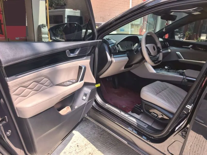 BYD Tang New Energy 2025 Tang DM-i 1.5T Stepless 115KM Honorable Automatic Gear 5