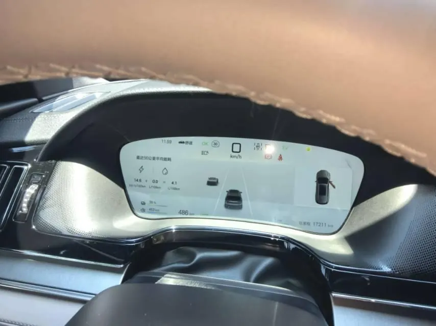 BYD Tang New Energy 2025 Tang DM-i 1.5T Stepless 115KM Honorable Automatic Gear 6