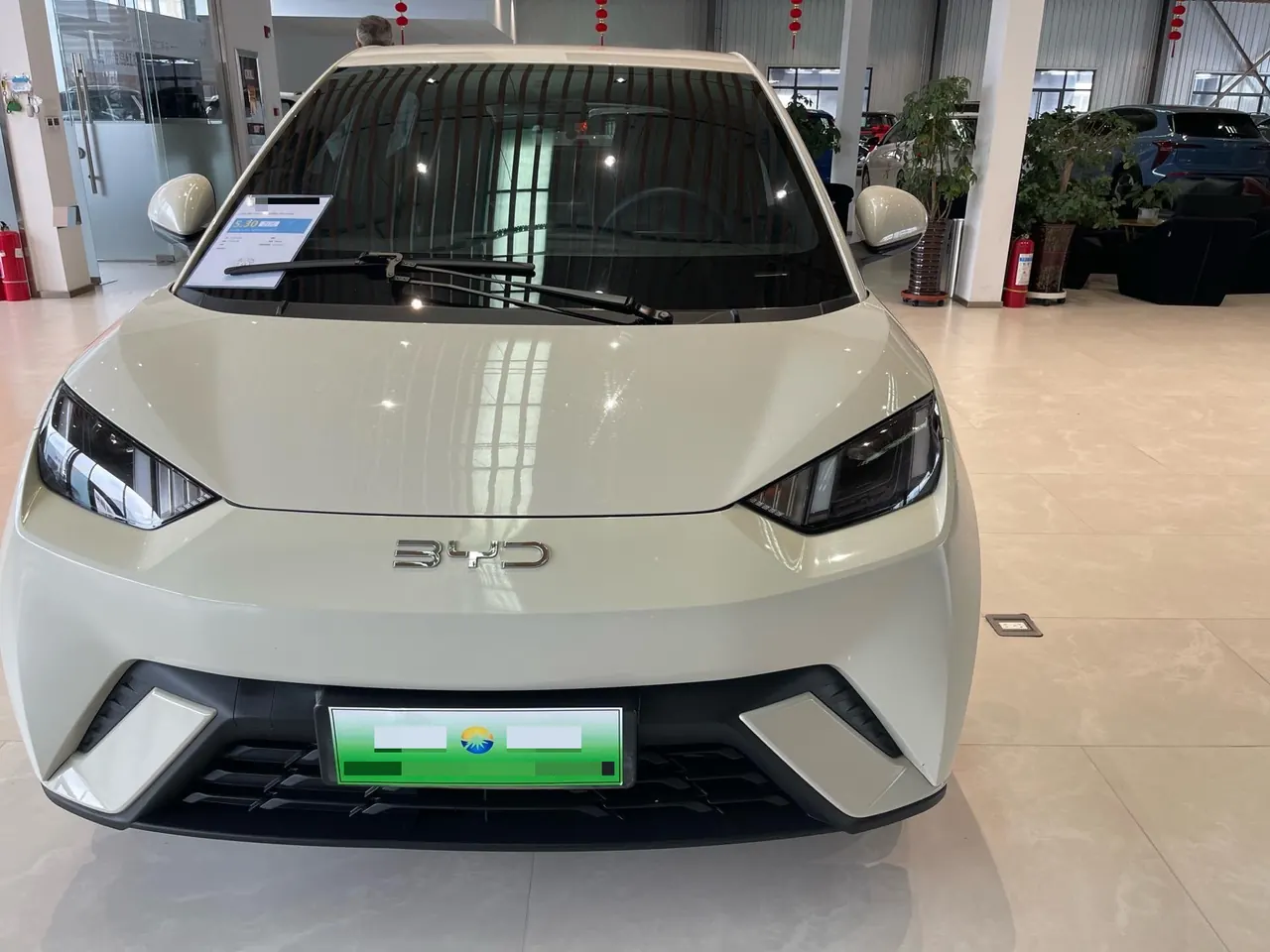 BYD 2024 Seagull Glory 305km Free Automatic Gear 2
