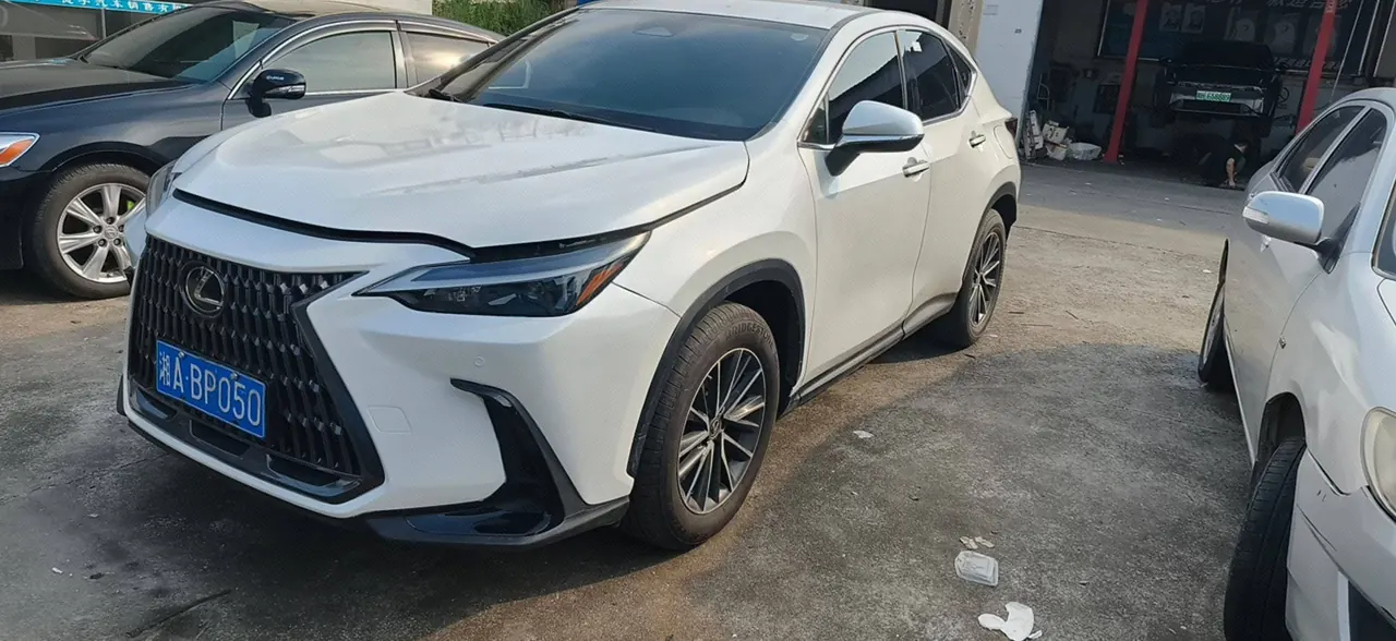Lexus NX (Imported) 2022 NX260 2.5 Chuangchi Edition Automatic Gear - View 1