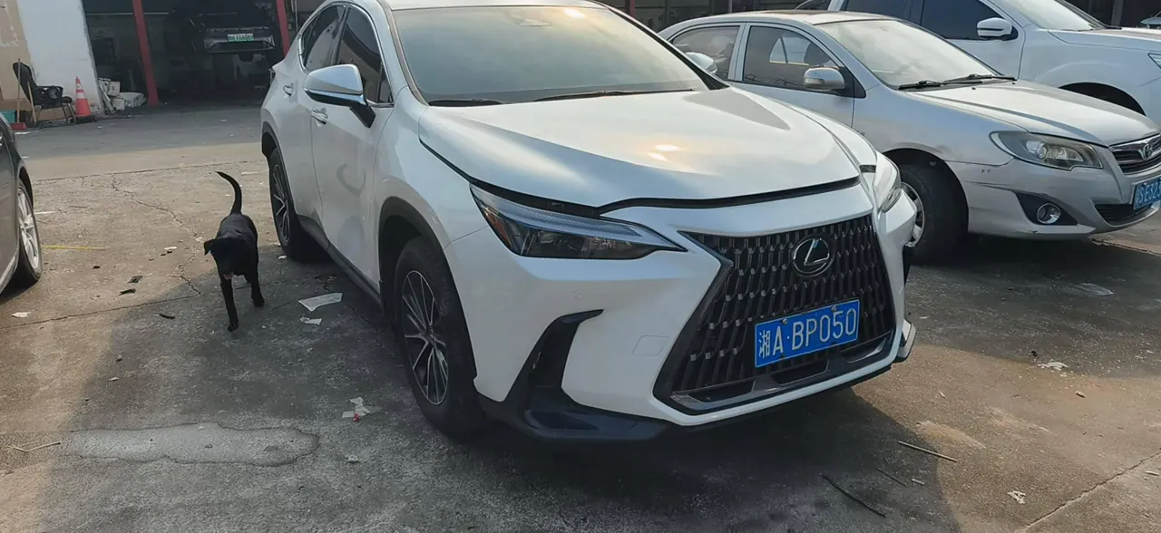 Lexus NX (Imported) 2022 NX260 2.5 Chuangchi Edition Automatic Gear 2