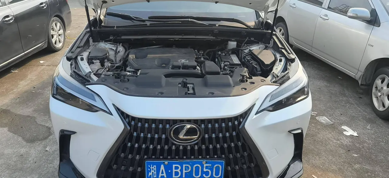 Lexus NX (Imported) 2022 NX260 2.5 Chuangchi Edition Automatic Gear 5