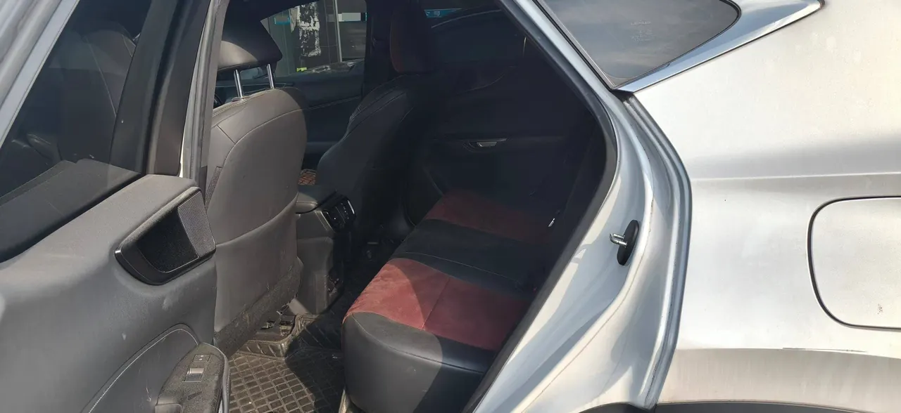 Lexus NX (Imported) 2022 NX260 2.5 Chuangchi Edition Automatic Gear 7