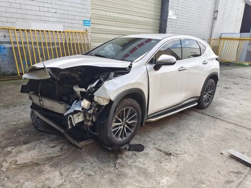 Lexus NX (Imported) 2022 NX260 2.5 Chuangchi Edition Automatic Gear 8
